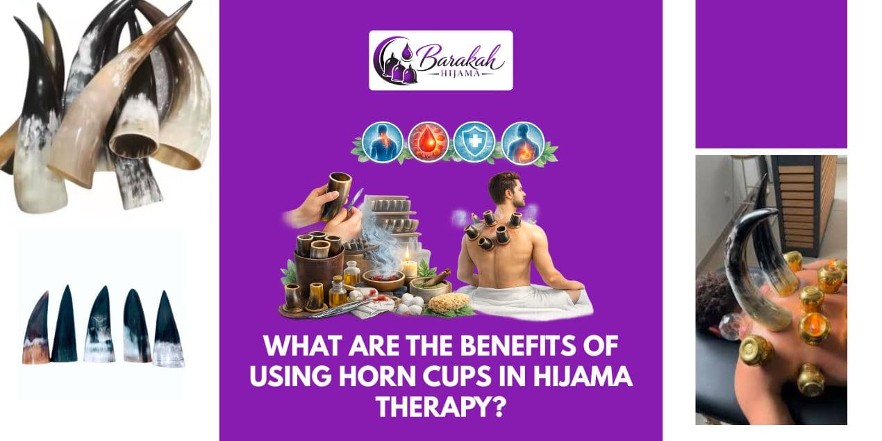 aritcles/what-are-the-benefits-of-using-horn-cups-in-hijama-therapy.jpg.jpeg aritcles/what-are-the-benefits-of-using-horn-cups-in-hijama-therapy.jpg.jpeg